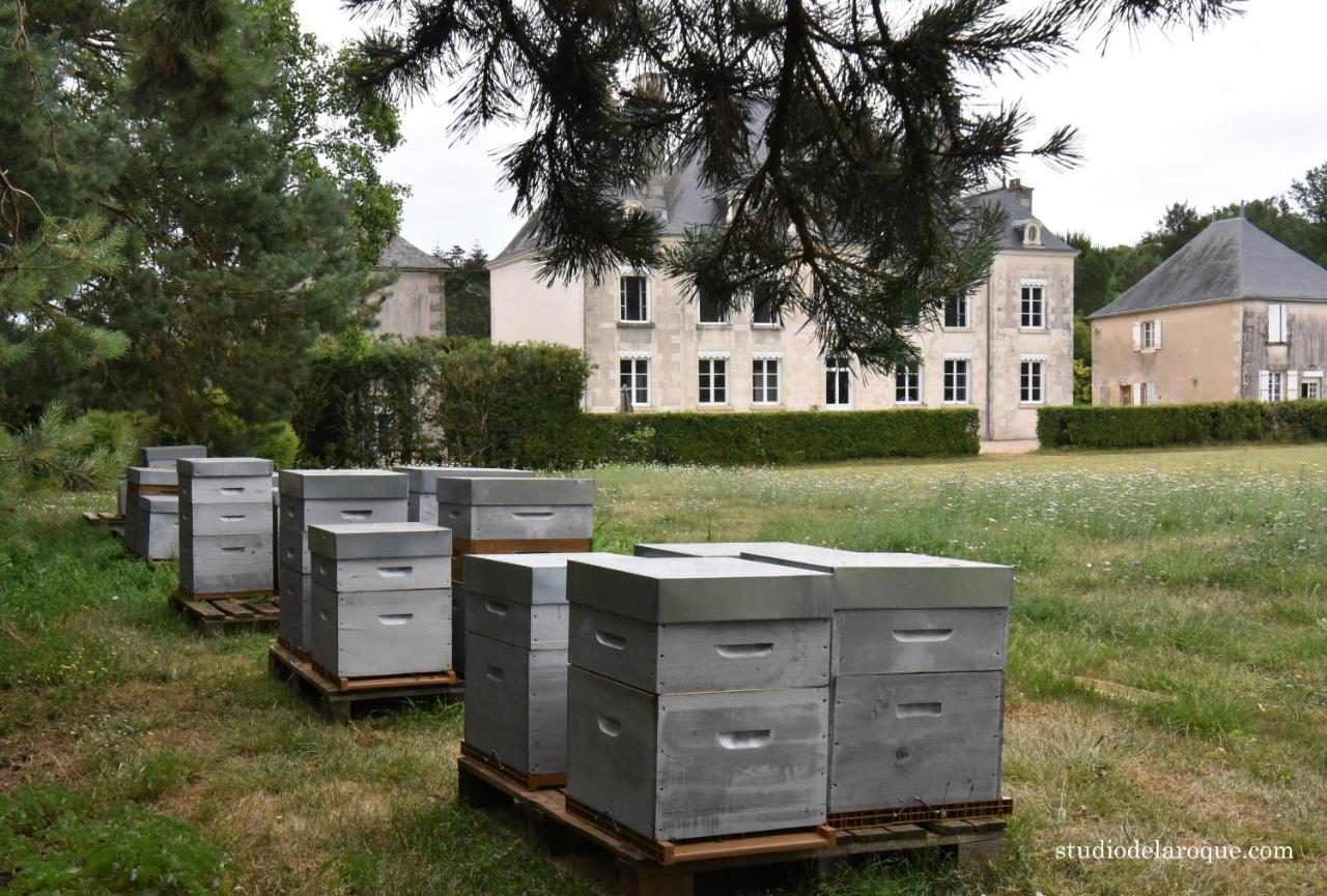Bed and Breakfast Domaine De La Briouse Sanxay Экстерьер фото