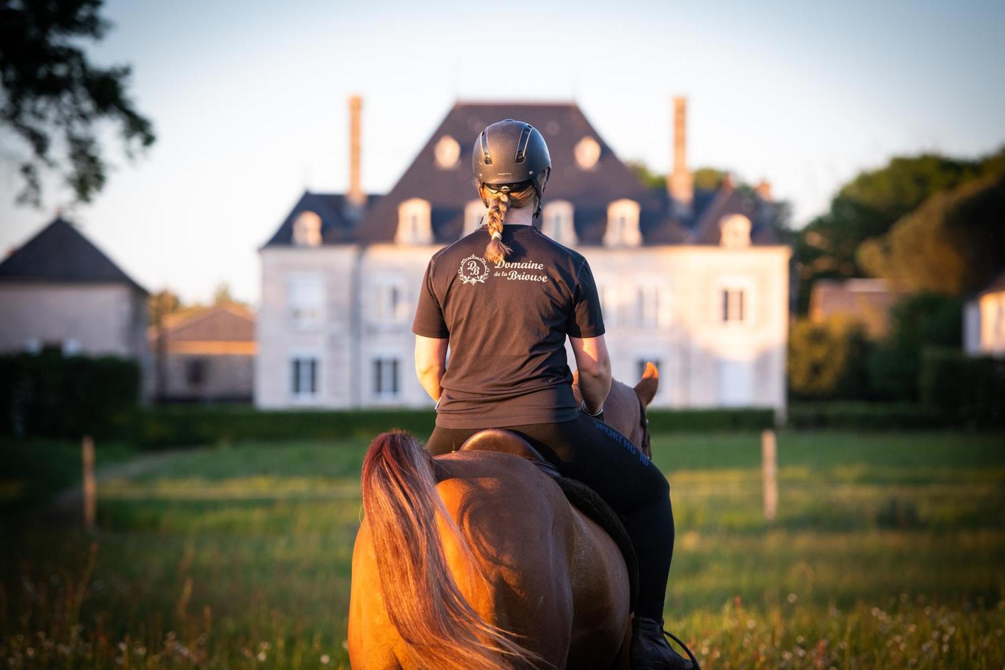 Bed and Breakfast Domaine De La Briouse Sanxay Экстерьер фото
