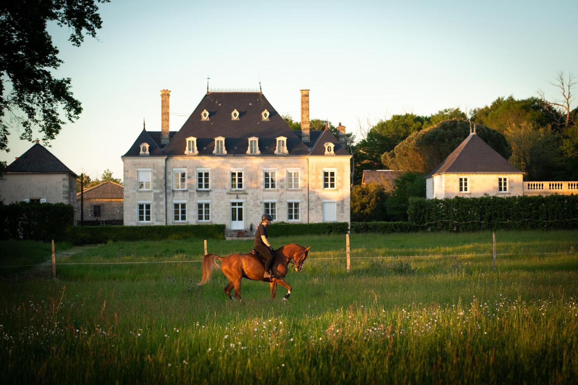 Bed and Breakfast Domaine De La Briouse Sanxay Экстерьер фото