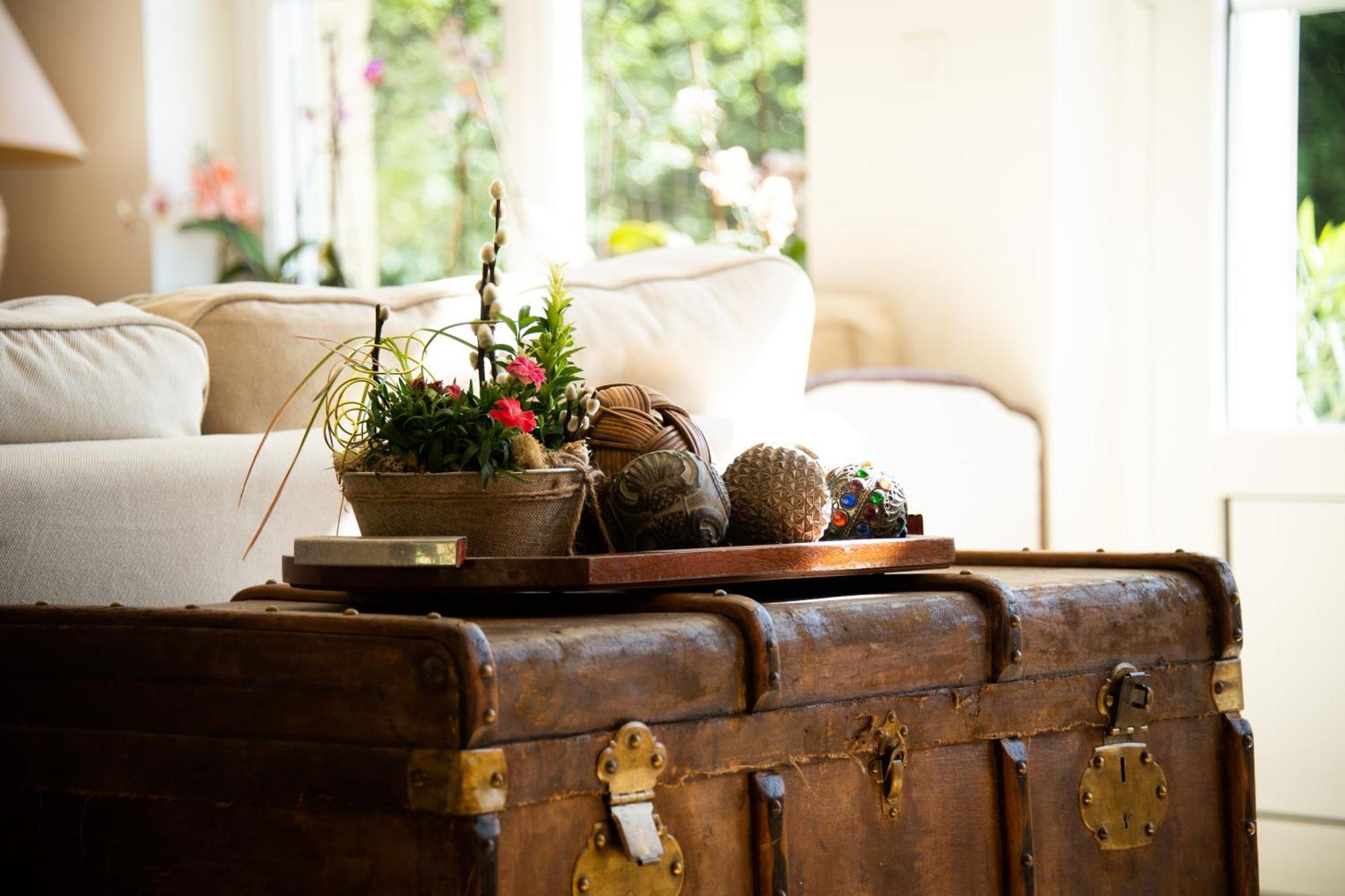 Bed and Breakfast Domaine De La Briouse Sanxay Экстерьер фото